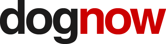 dognow-Logo